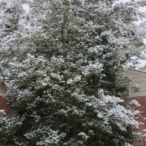 Meet your Posher, Sheila